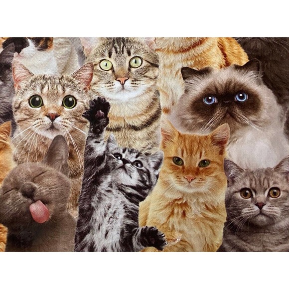 All‎ The CATS Peter Pauper Press JIGSAW PUZZLE 1000 Piece 28”x20”Funny Cute NEW - Picture 10 of 10